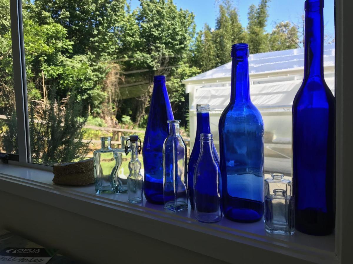 Perfect Base In The Bay Of Islands Apartment Opua Екстериор снимка