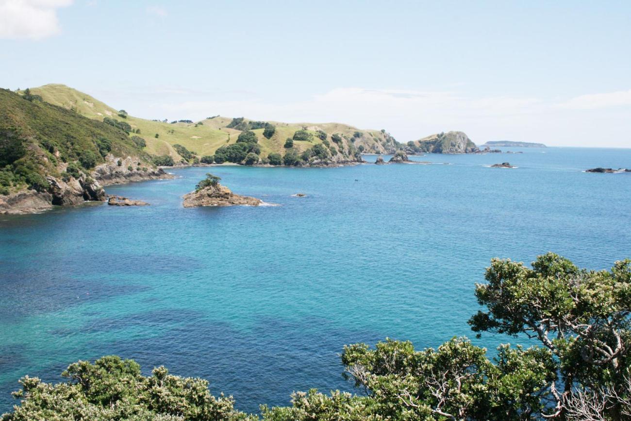 Perfect Base In The Bay Of Islands Apartment Opua Екстериор снимка